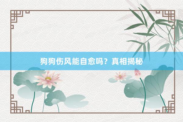 狗狗伤风能自愈吗？真相揭秘
