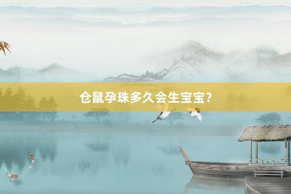 仓鼠孕珠多久会生宝宝？