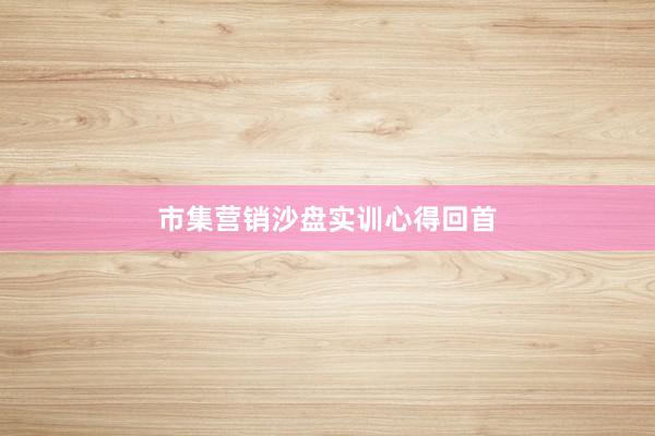 市集营销沙盘实训心得回首